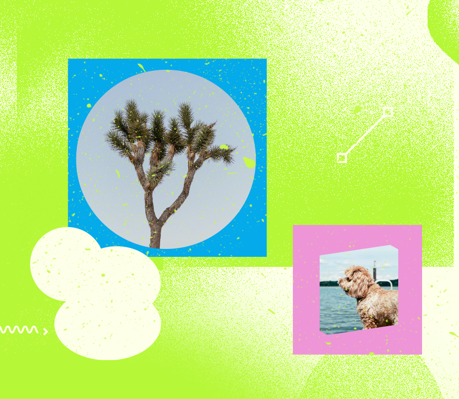 User-generated content: A tree and a dog 